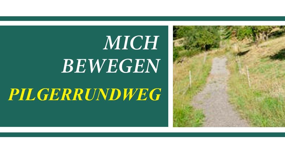 Ein Wanderweg führt durch Weiden, die mit einem Elektrozaun abgegrenzt sind.