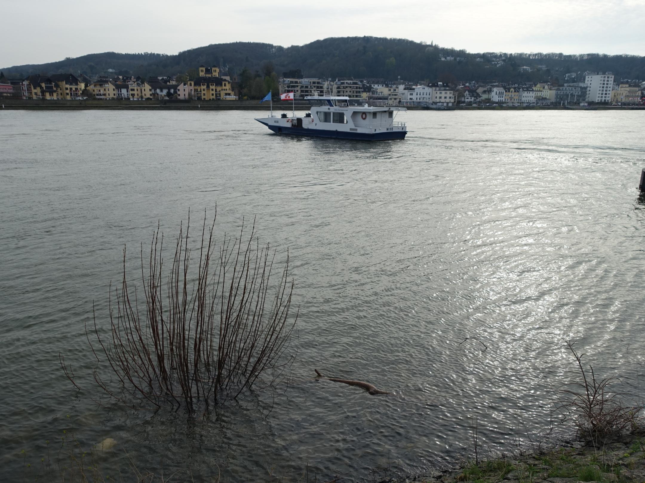 Die Fähre Nixe fährt über den Rhein.